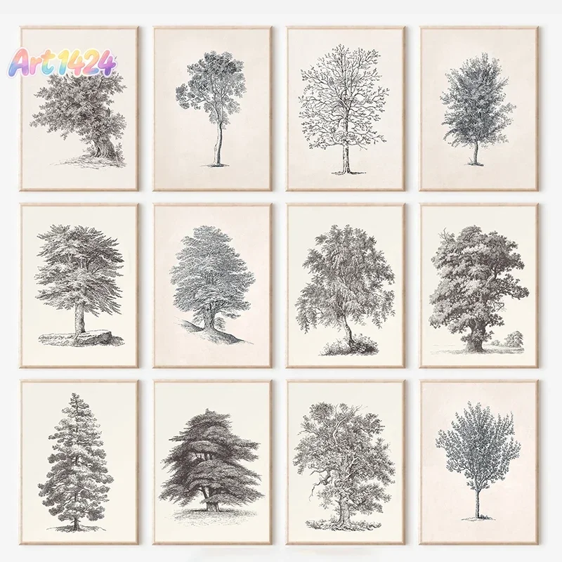 Antique Trees Beech Betula Cypress Ash Tree Sketch Retro Posters and Prints Canvas Printing Wall Art Picture for Room Home De