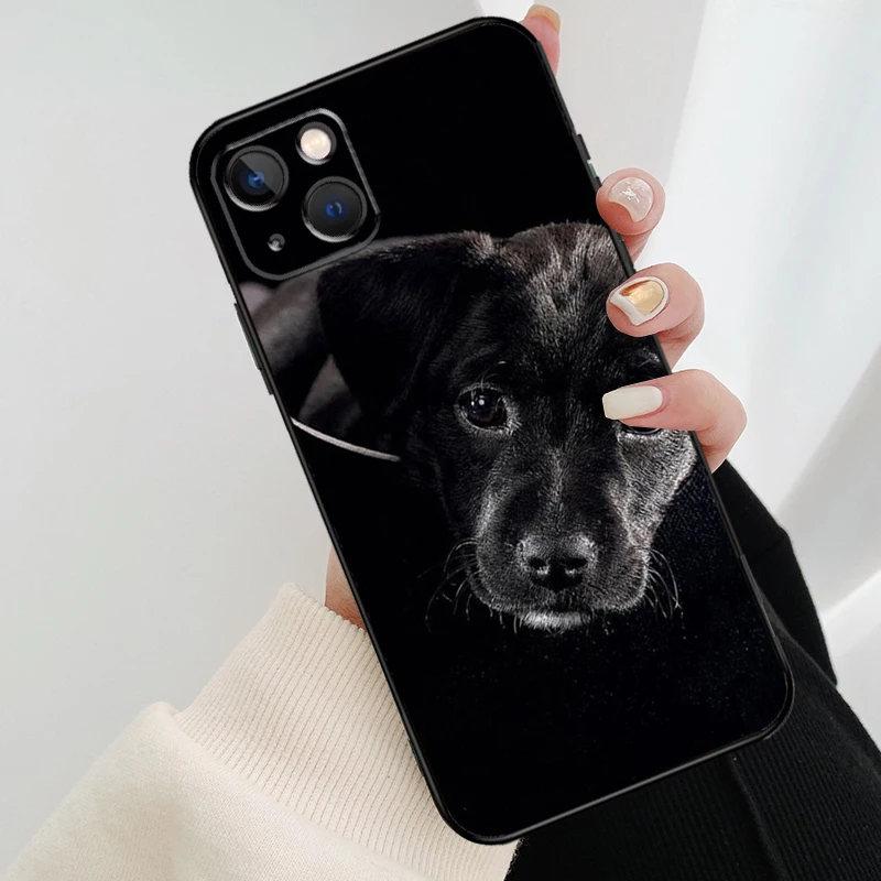 Labrador Dog Golden Retriever Puppy Phone Case For iPhone 13 12 11 14 Pro Max Mini X XR XS Max 6S 7 8 Plus Shockproof Soft Case