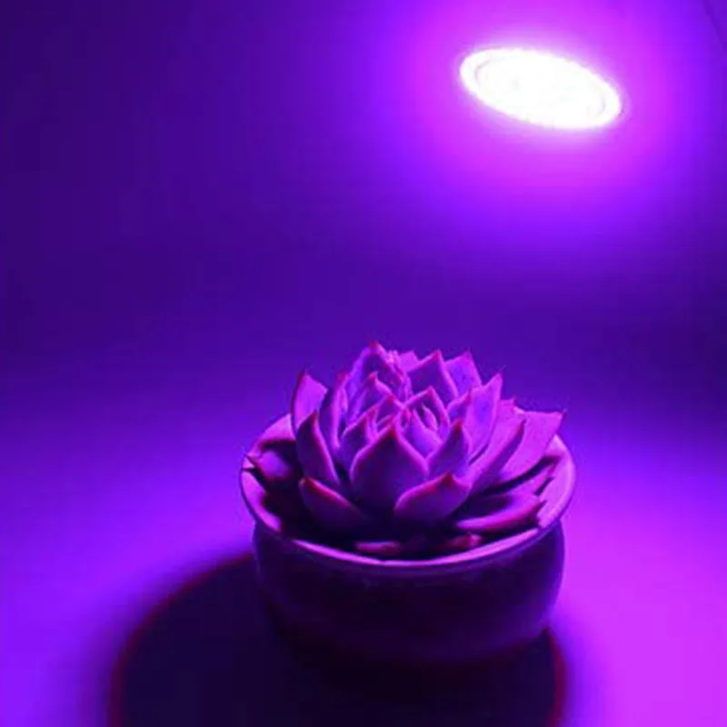 ABHU Led Plant Growth Lamp Lamp Beads Full Spectrum Plant Growth Lamp, For Flower Hydroponic Seed Organic Plant 8 Pcs