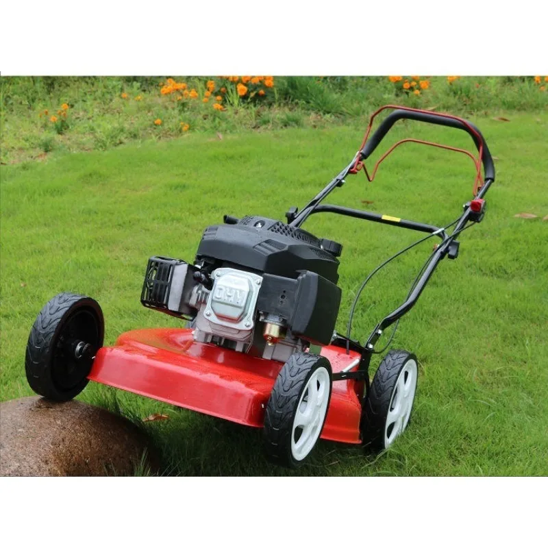 고품질 173cc 전기 잔디 깎는 기계 (잔디 및 정원용 산업/DIY 등급 전기 및 가스)