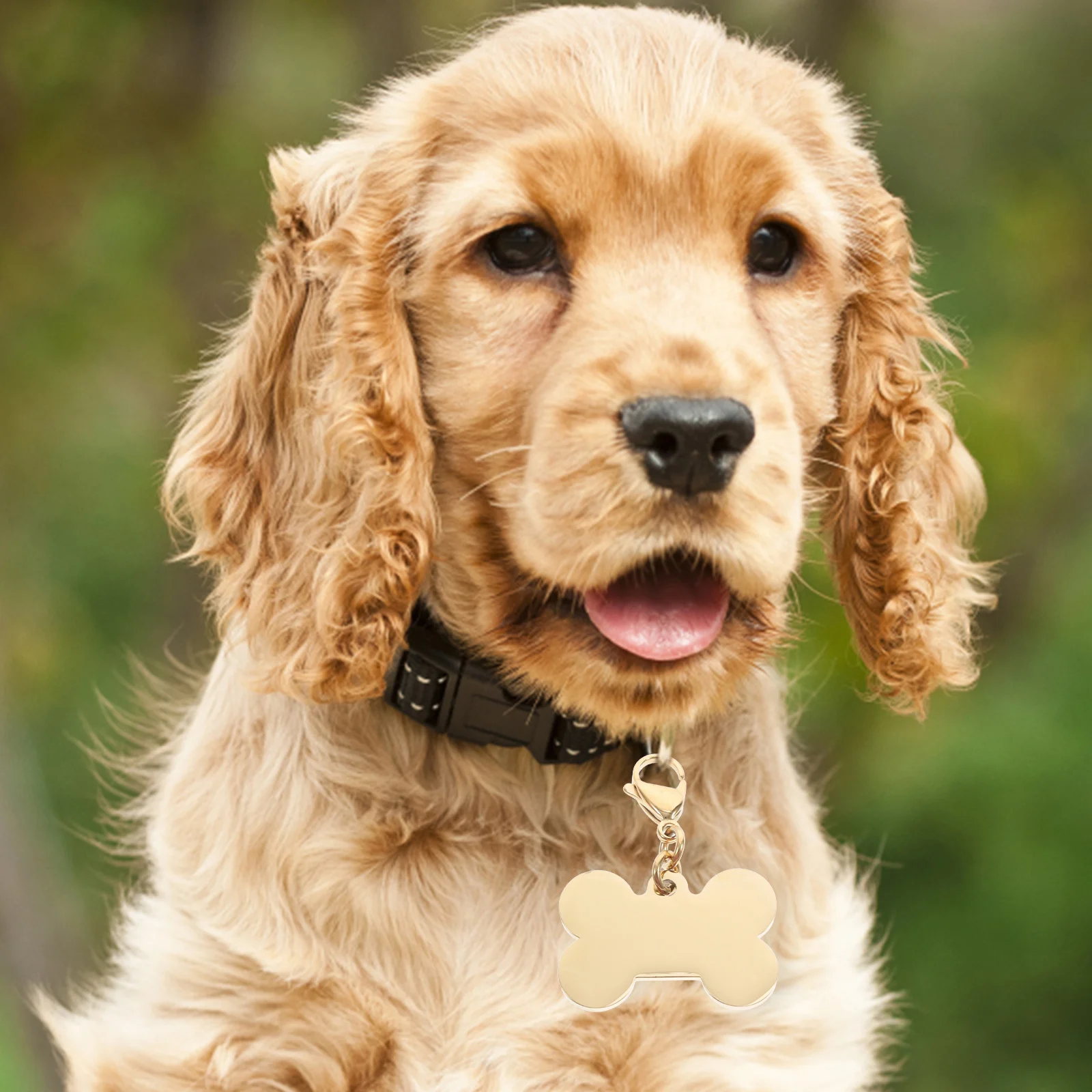 

6 Pcs Dog Accessory Pet Tag Metal Tags Durable Name for Dogs Stainless Steel Tabs