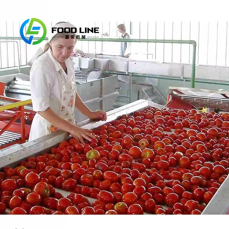 Commercial Tomato Sauce Manufacturing Production Line Efficient Machine For Large Batch Tomato Ketchup Production