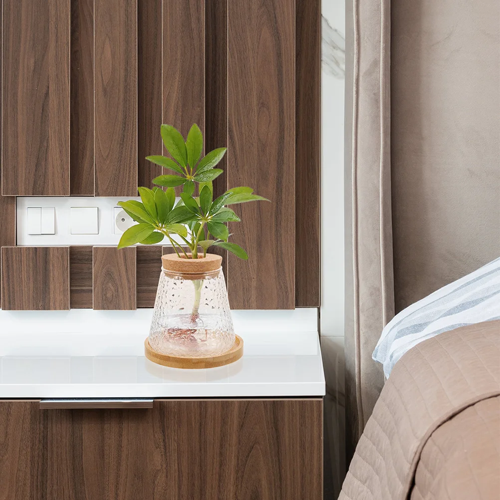 

2pcs Water Propagation Vase Clear Glass Terrarium Jar For Hydroponic Plants Desktop Decor Planters Unique Bud Vases