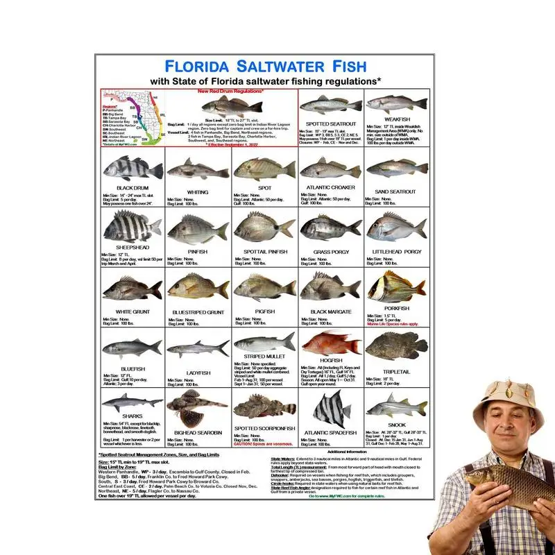 Florida Saltwater Fish Identification Card Color Photos Of Florida Waters Rules Florida Saltwater Fish Identification Card For