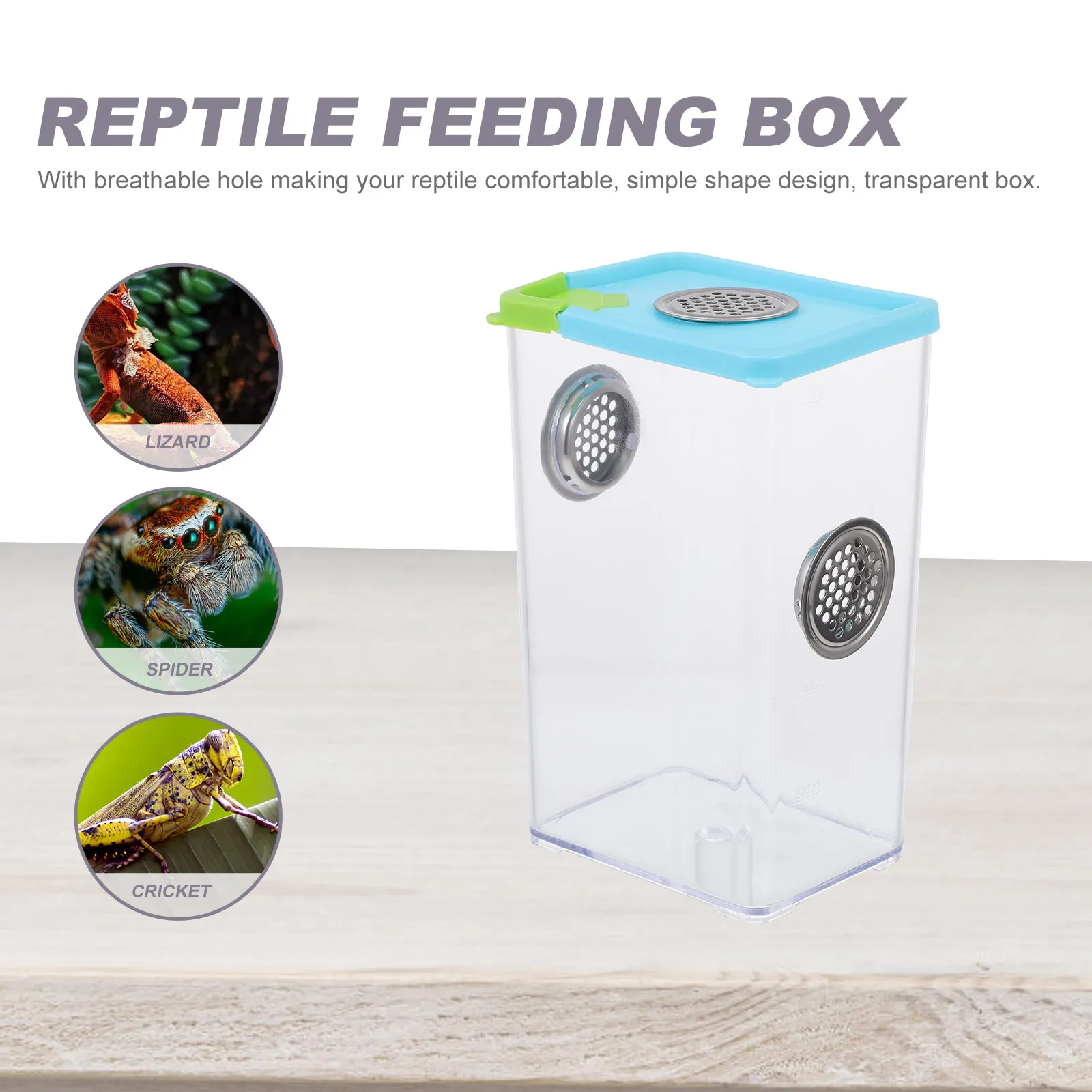 Insect Terrarium Reptile Feeding Box Lightweight Compact Transparent Container for Spiders Lizards Turtles Frogs Snakes Pet Anti - Image 5