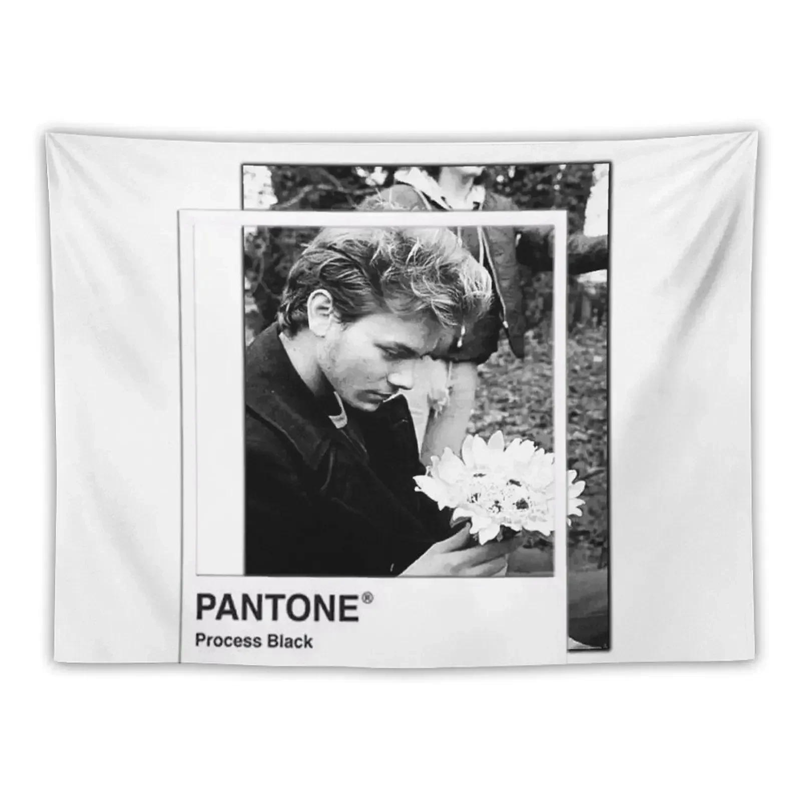 

River Phoenix Pantone Tapestry Wall Hanging Decor Wallpapers Home Decor Room Aesthetic Decor Home Decorations Aesthetic Tapestry