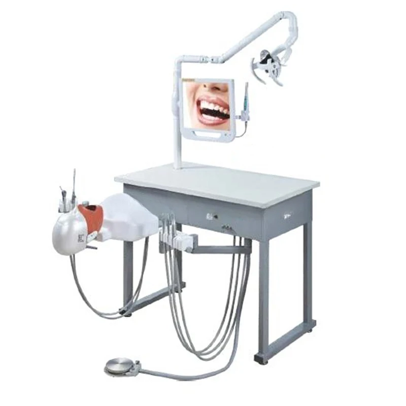 MY-M104A training model phantom head den-tal simulation unit,den-tal simulator