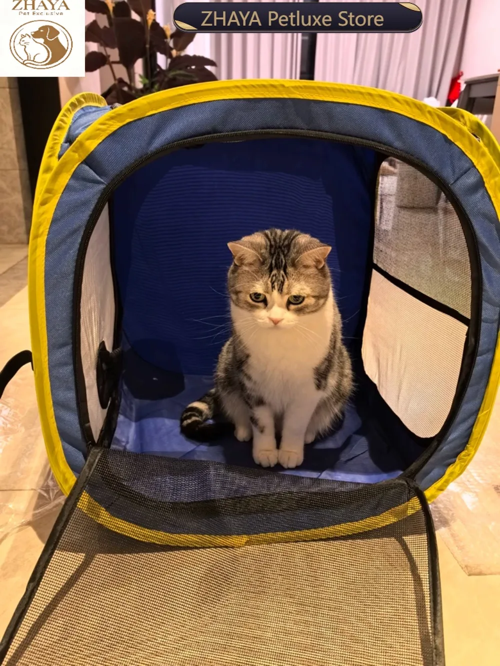ZHAYA Pet Dryer Box for Cats Drying Bag after Bath for Small Dogs Home Use Hair Dryer Blower