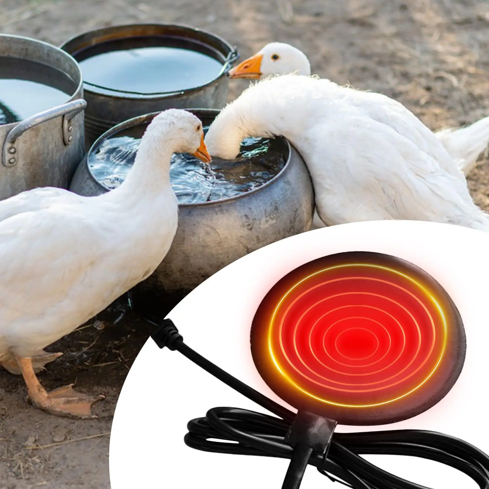 Calentador de Agua para Pollos, Almohadilla Calefactora de 5.9 Pulgadas, Calentador de Agua para Aves de Corral de 20 W con Cable de 71 Pulgadas para Cría de Aves de Corral en Invierno, Granja Ganadera