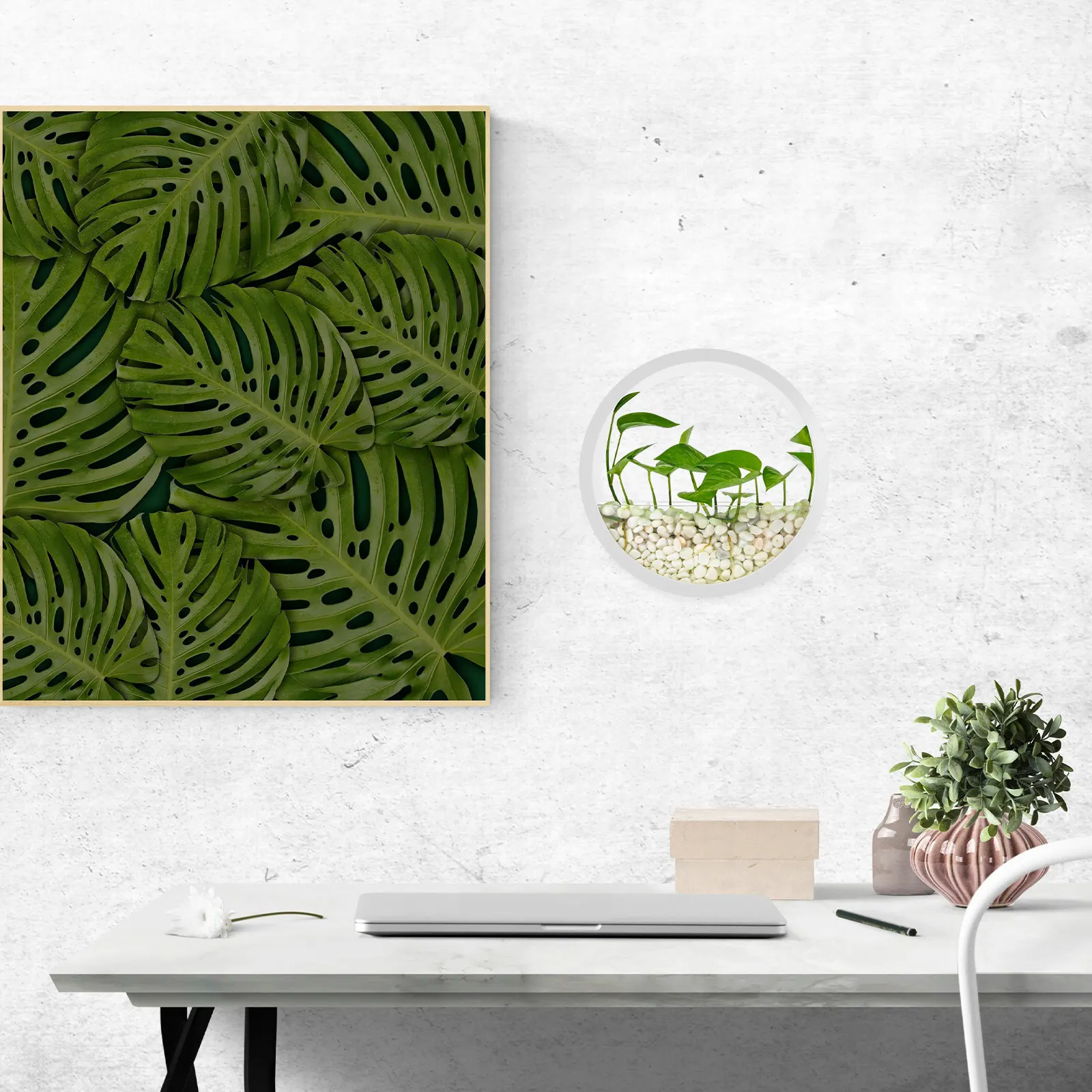 

1pc Clear Wall Mounted Hydroponic Planter Hanging Indoor Planter For Succulents Aquatic Plants Round Wall Flower Vase Garden