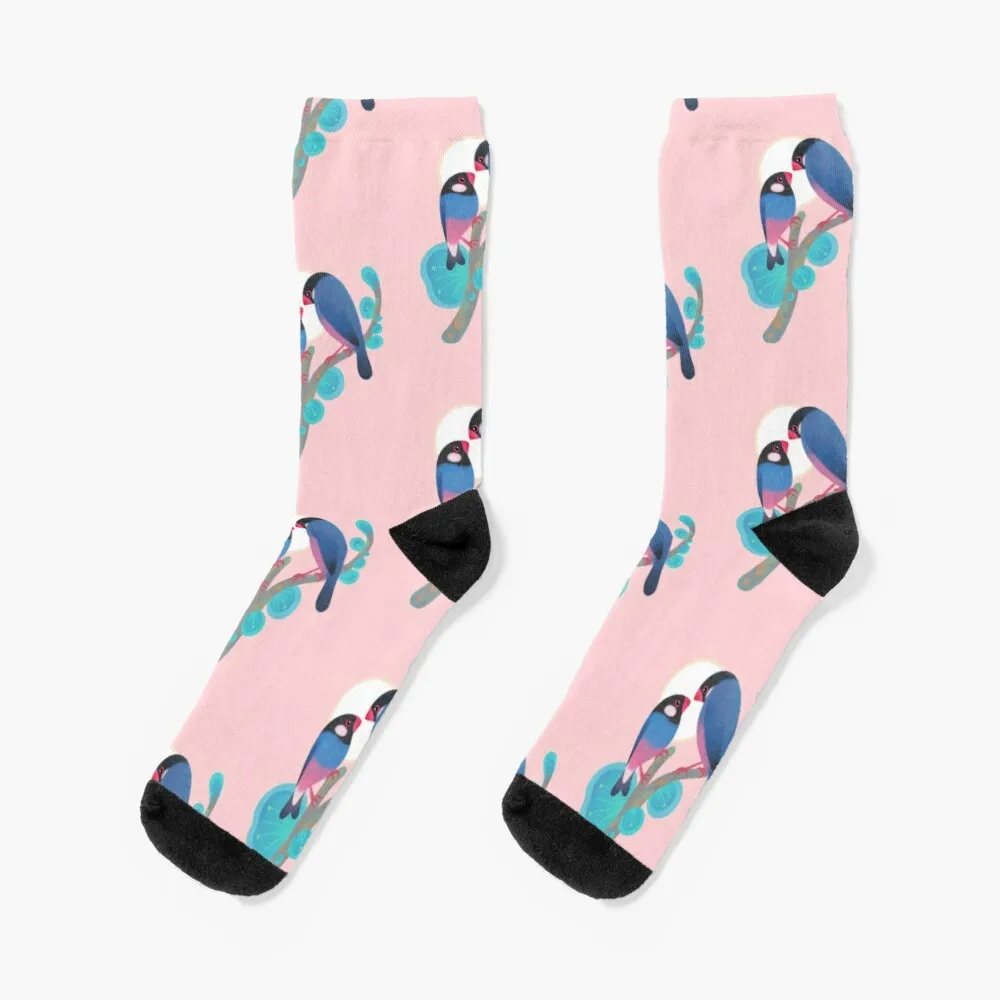 

Java sparrows Socks Sock High Women Men'S Socks