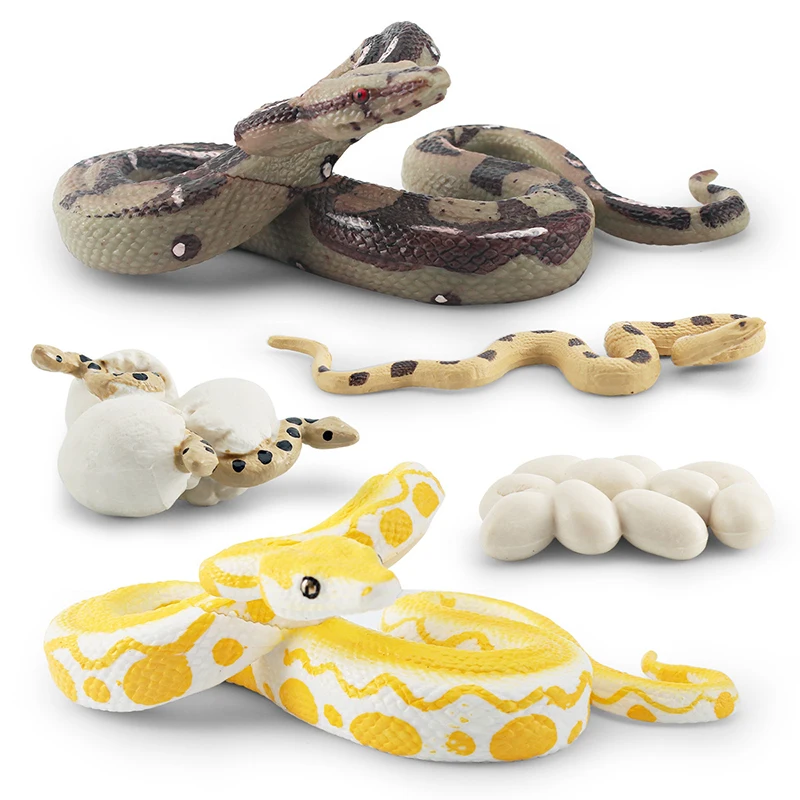 Simulation Forest Animal Python Growth Cycle Model Realistic Burmese Python Python Model Children Cognitive Toys Mischief Gifts