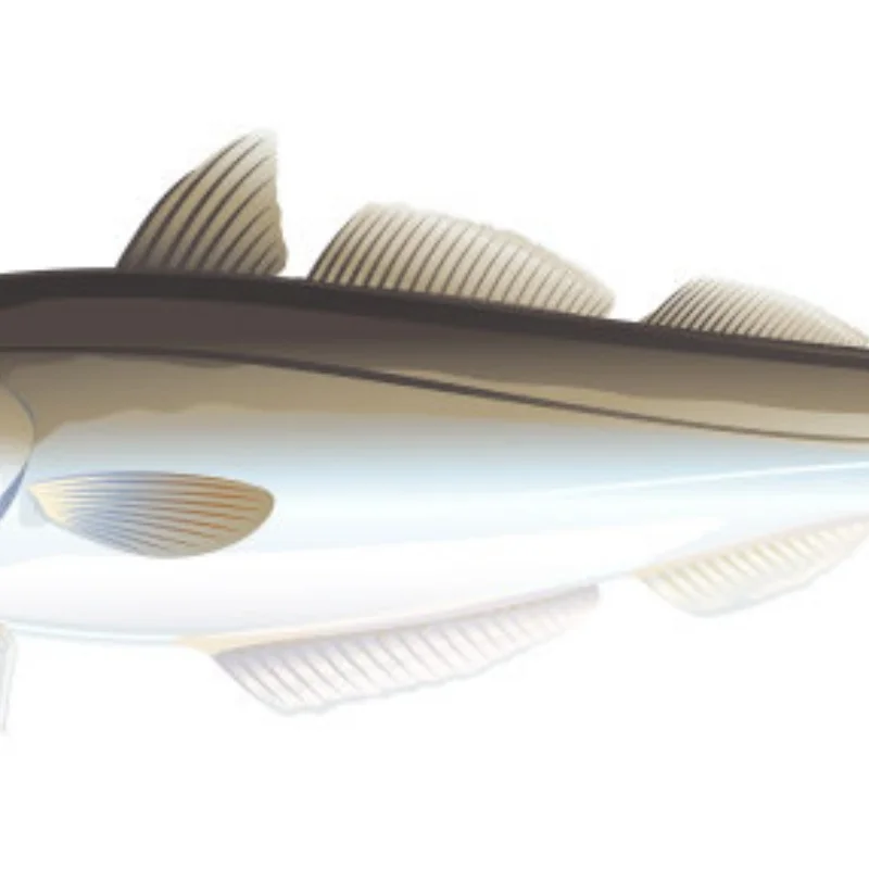 

4PCSBeadlock Wheel Rims Aluminum Alloy for 1:10 RC Crawler SCX10 90046 SCX10 III AXI03007 CC01 D90 D110 1.9 Crawler Tires