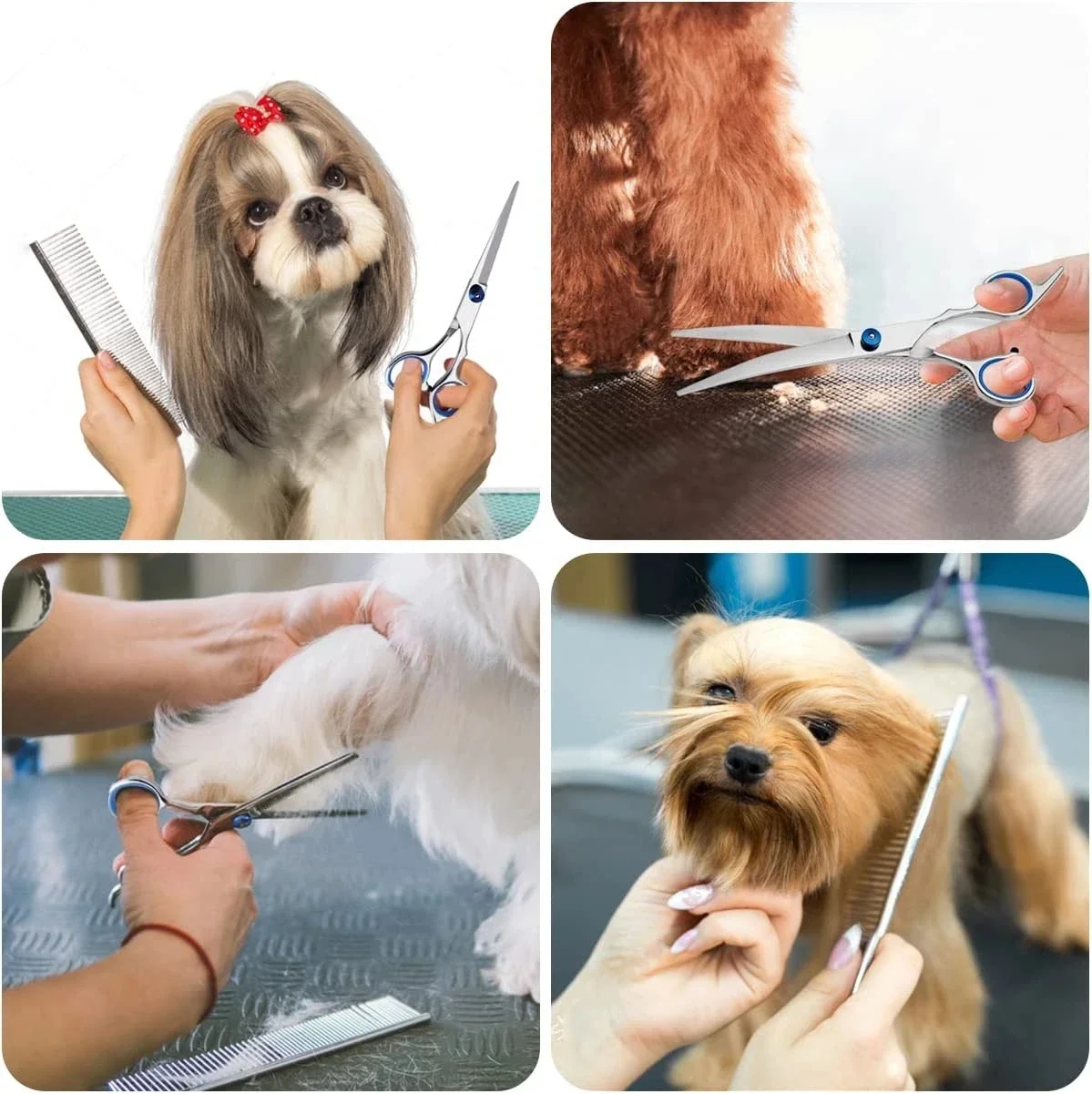 Tijeras profesionales de acero inoxidable para mascotas, traje de peluquería para perros, herramientas de corte de peluquero para animales, 6