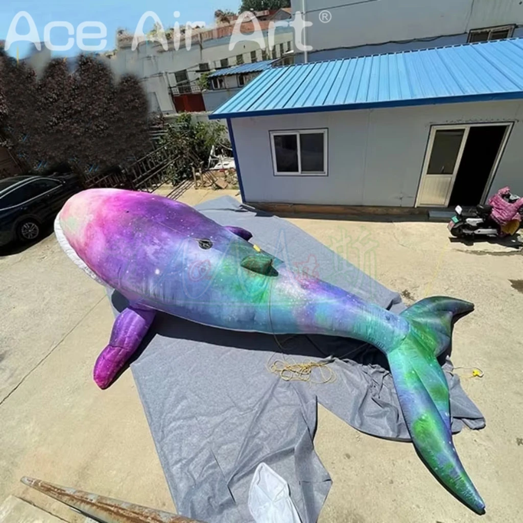 8 Meter Long Inflatable Whale Balloon Model for Party Events Air Blower Included