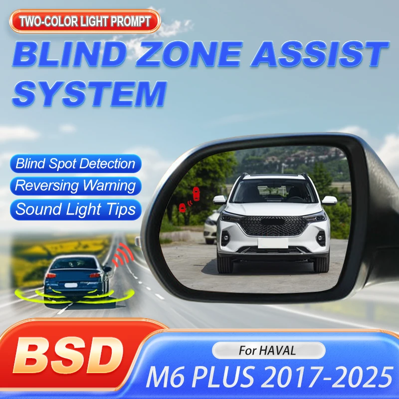 Car Alarm Blind Spo…