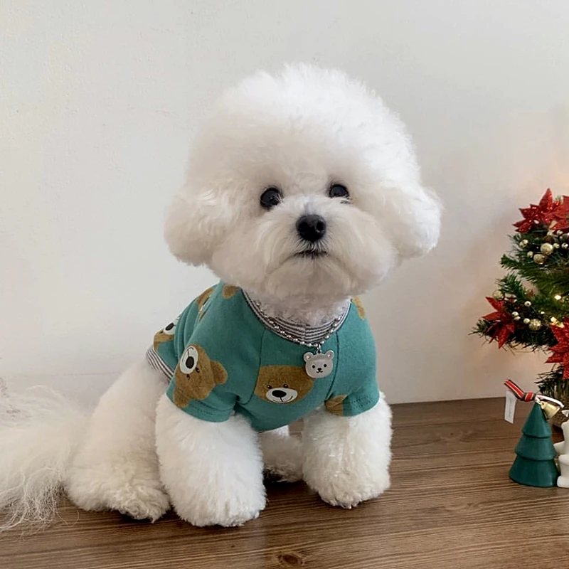 T-shirt doux à deux pattes pour animaux de compagnie, vêtements chauds pour chiots, vêtements pour chiens à motif d'ours de dessin animé, automne