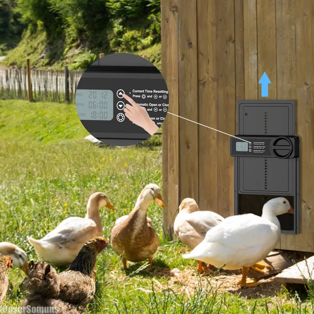 

Automatic Coop Door Induction Electric Metal Intelligent Chicken Timing Automatic Opening Closing Coop Door Farm Management Tool