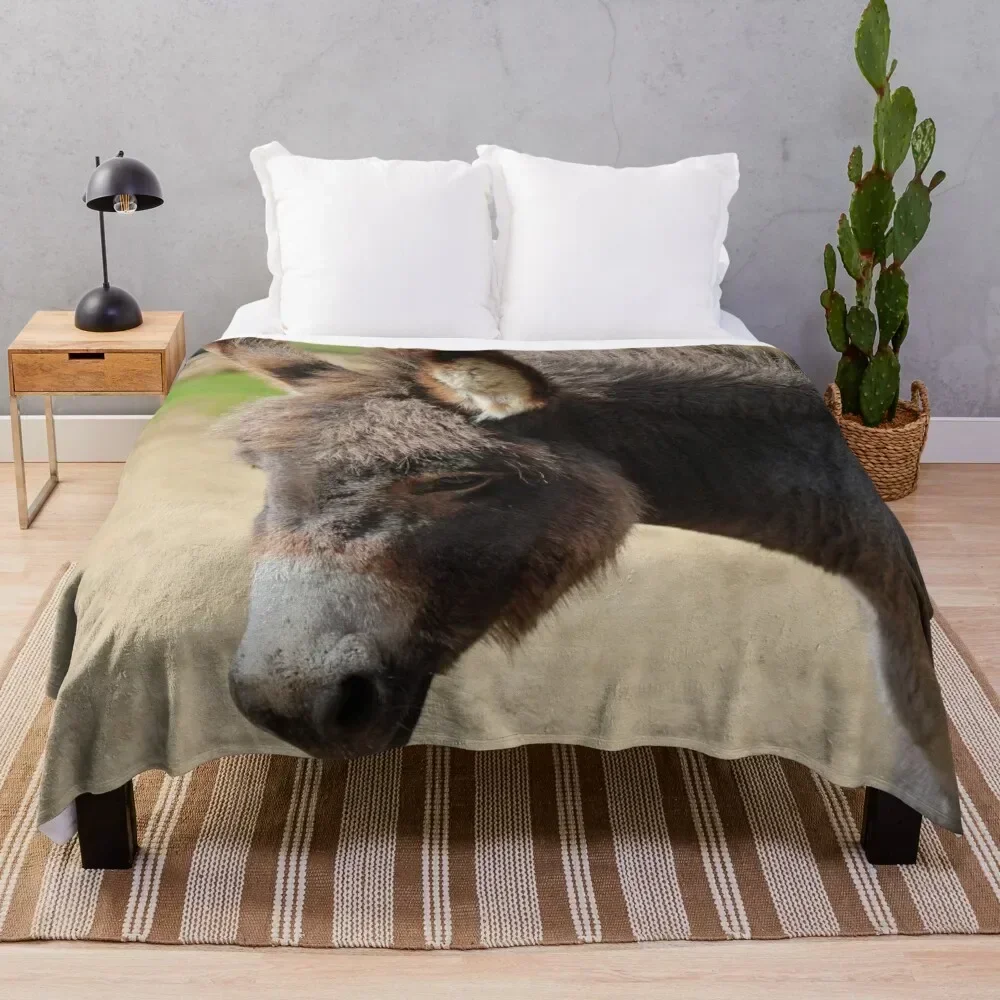 

Little donkey Throw Blanket Cozy Light Blanket for Travel Camping Picnic