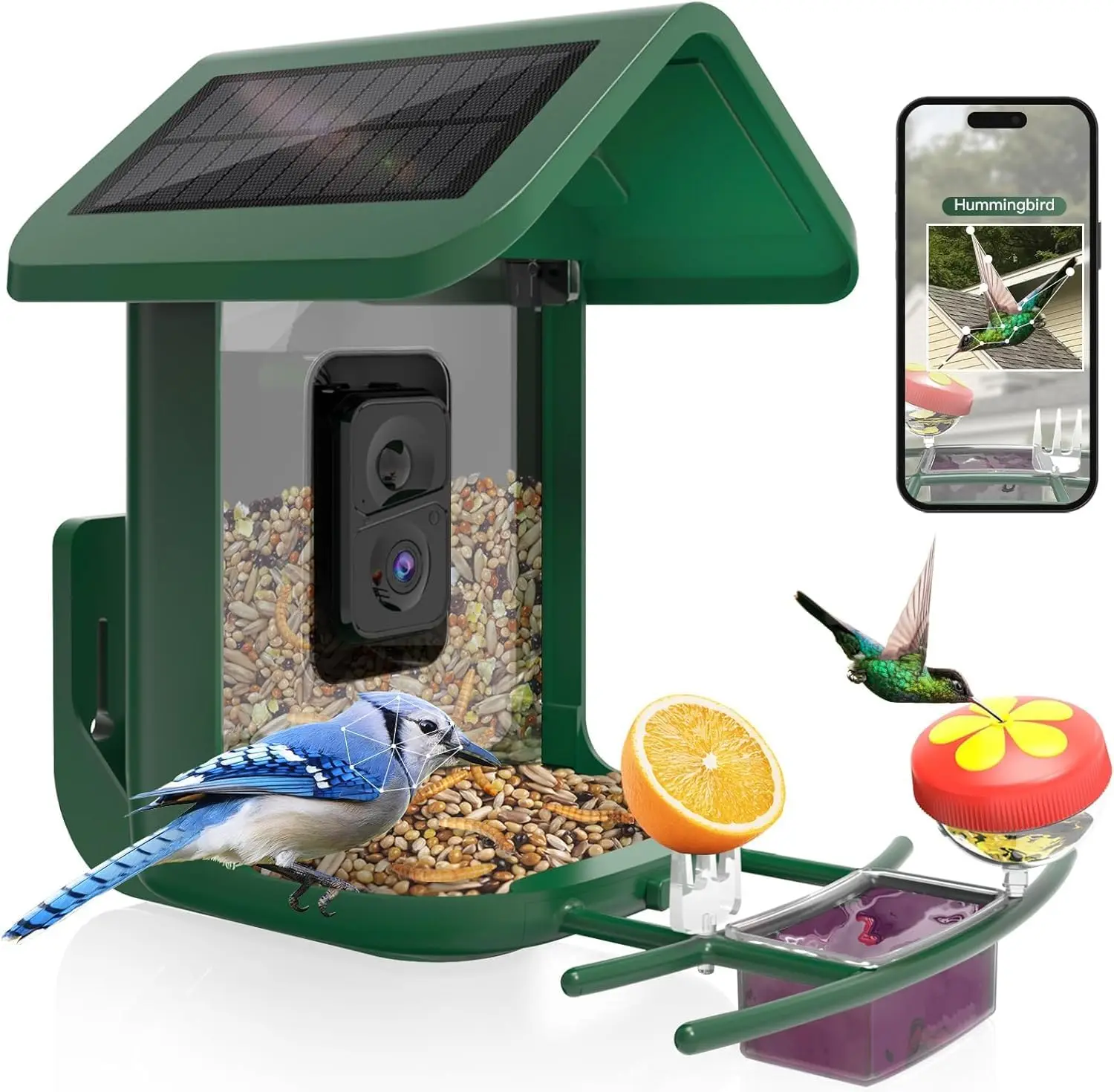 Smart Bird Feeder with Camera Solar Powered 2K Live Feed Cam for Backyard AI Identify Auto Capture Bird Videos Pictures