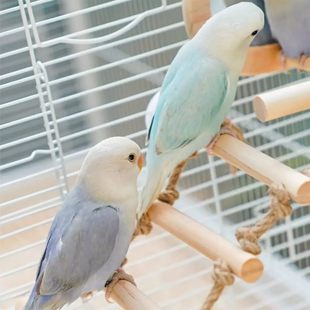 Thumbnail 2 - #15 Bird Cage Ladders Deals & Discounts
