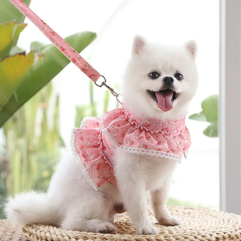 Dog Dress Harness Leash Set for Small Dogs Cats Daisy Floral Girl Dog Cute Puppy Princess Clothes Spring Summer Breathable