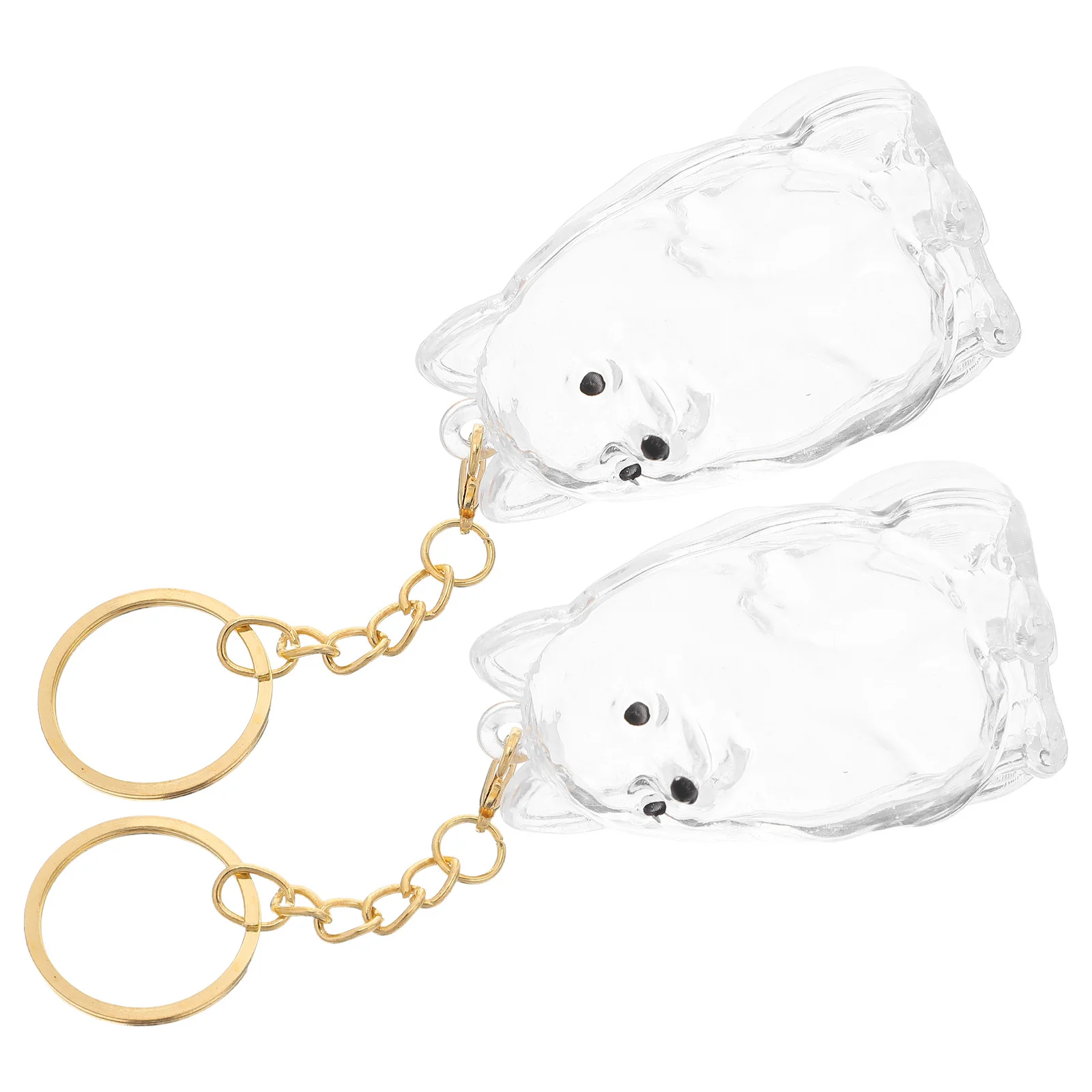 

2Pcs Pet Memorial Keepsake Box Transparent Dog Hair Container Keychain Easy Organization for Molting Season Decorative