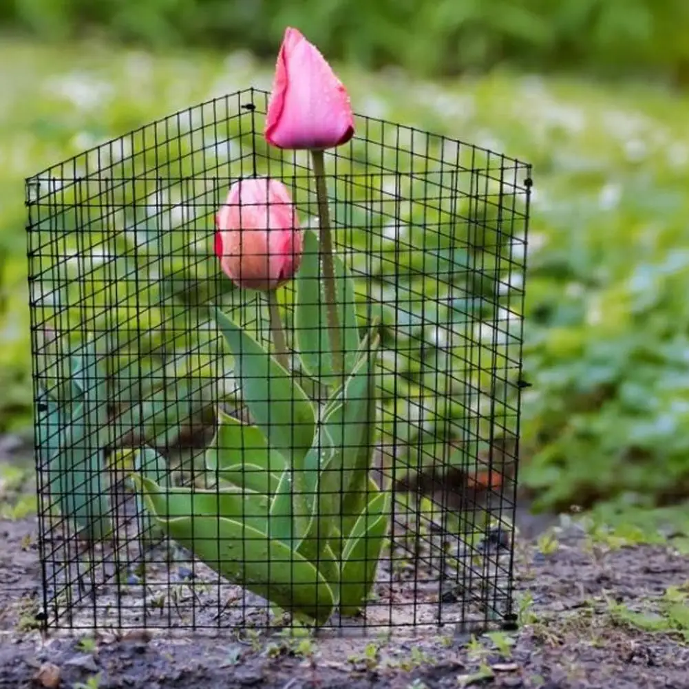 Tree Trunk Protector Metal Plant Protection Cage Wire Plant Protector Cage Set Metal Tree Trunk Guard with Ground for Garden