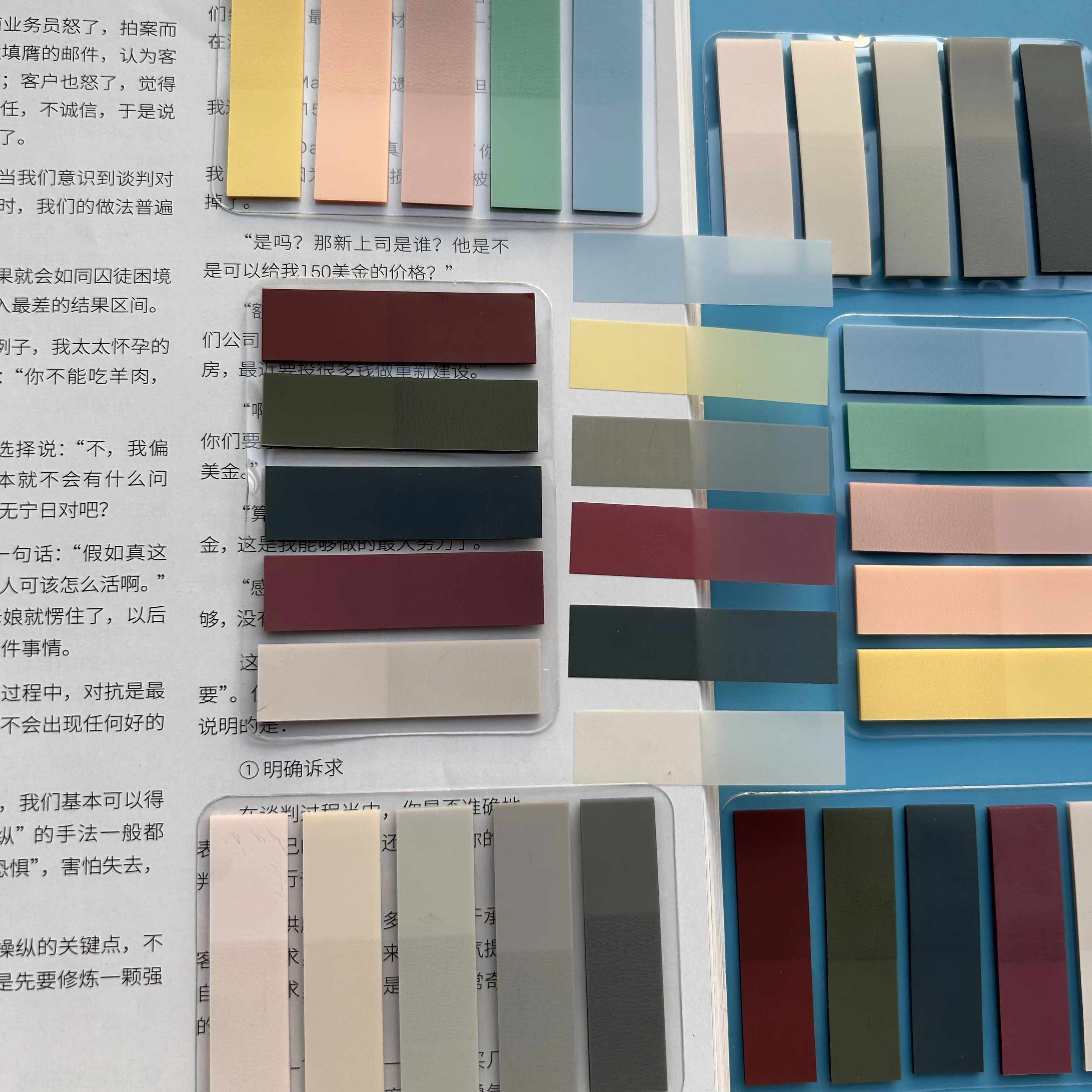 800 fogli Schede indice fluorescenti trasparenti Bandiere di classificazione per animali domestici Nota adesiva per adesivi per pianificatore di indicatori di pagina