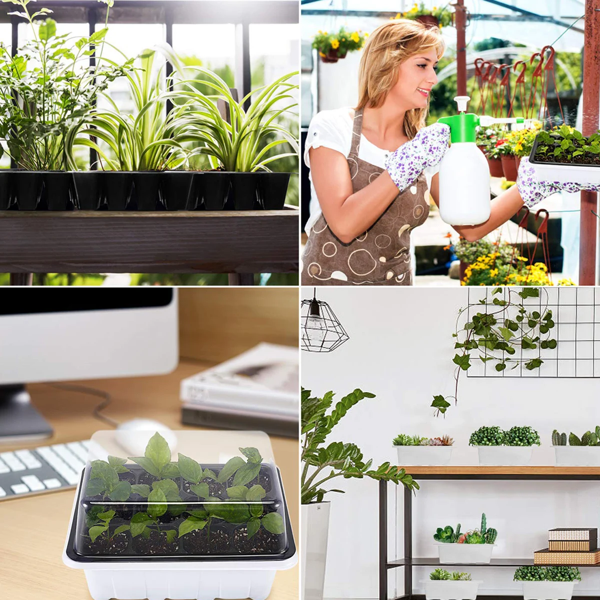 

5 set 12 Holes Tray Reusable Plastic Seedling Starter Kit With Transparent Lid For Garden Nursery Durable Thickened