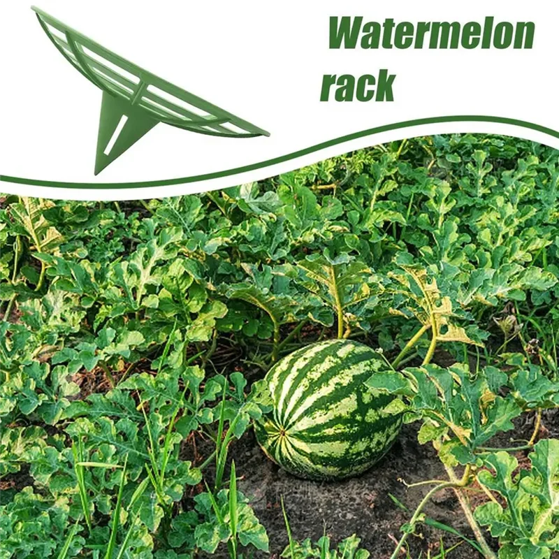 

Latest Strawberry Support Squash Protector Stand Garden Pumpkin Support Stand Trellis Avoid Ground Rot For Watermelons Squash