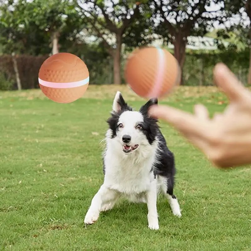 Interactive Toys For Puppy USB Charging Waterproof Dog Toy Balls Sturdy And Durable Automatic Rolling Ball Self Bouncing Ball