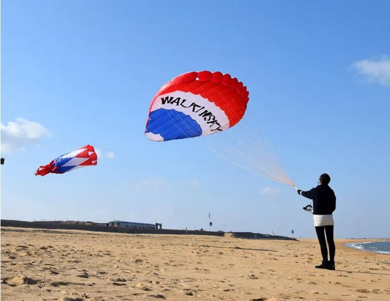 Large inflatable kite hot air balloon kite flying for adults professional kites windsock inflatable show kite outdoor games koi