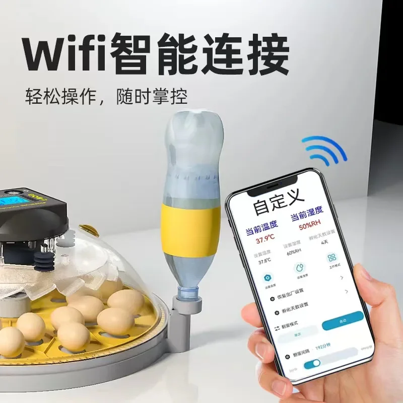 For Chicken Duck Quail Eggs Transparent Lid Egg Incubator Automatic Compact Size Intelligent Control Durable Build High Speed