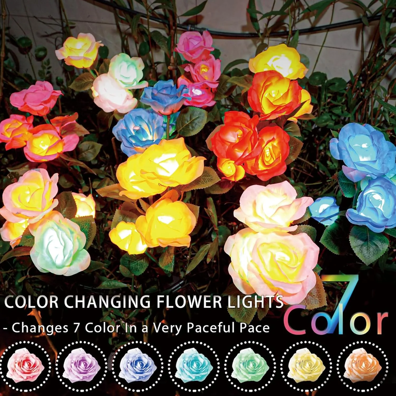 Solar Garden Lights - Upgraded Outdoor Light, 7-Color Changing Rose Lights for Yard,Garden Decoration, Enlarged Solar Panel, More Realistic Rose Flower (2/4 Packs)