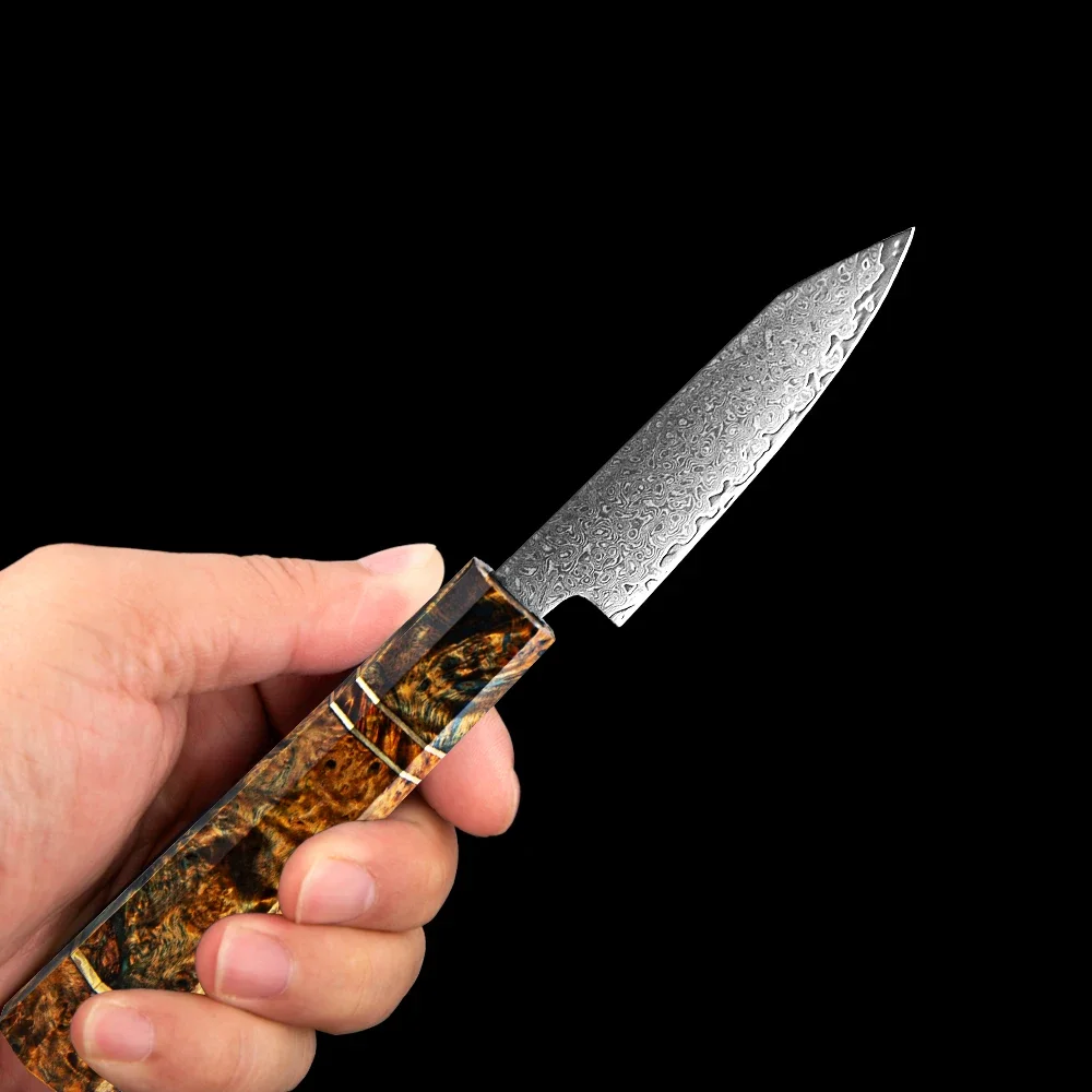 Coltello da cucina in acciaio inossidabile di Damasco Coltello da cucina piccolo da 3,5 pollici Coltelli da sbucciare con lama affilata per rasoio Manico in legno ottagonale