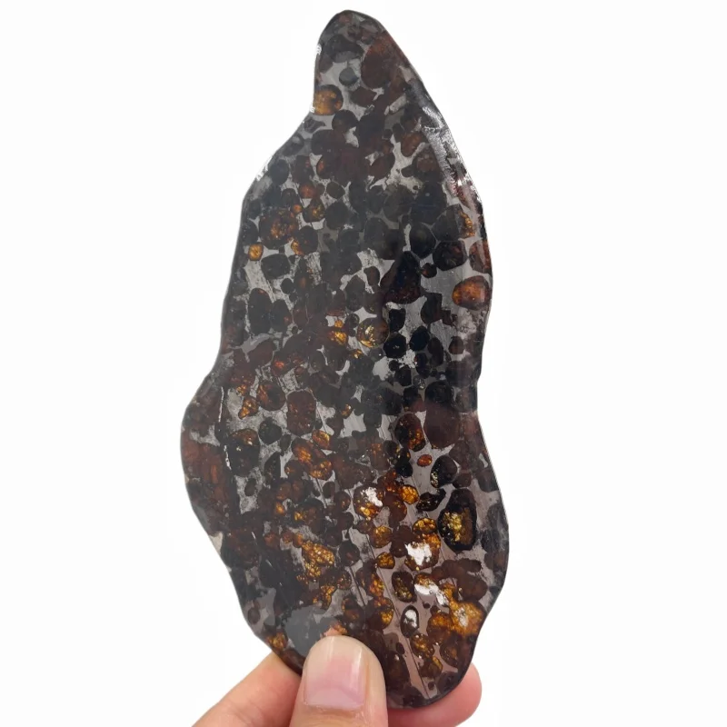 Sericho Pallasite Meteorite Slice Kenya Polished Olivine Meteorite Irregular Piece Natural Space Collection Specimen QA893