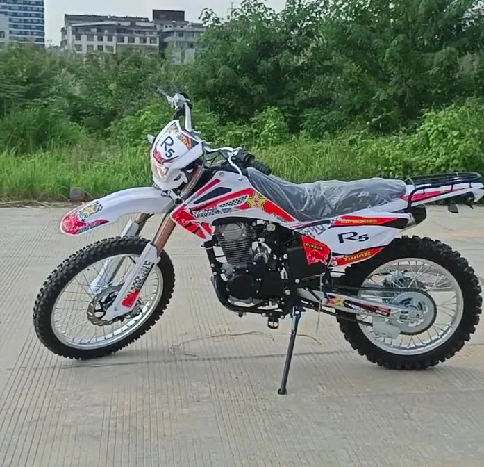 Motociclette fuoristrada da 250 cc per adulti Motoslitta e bici da cross senza spazzole di grandi dimensioni con binari in gomma per la guida sulla neve e allo sporco