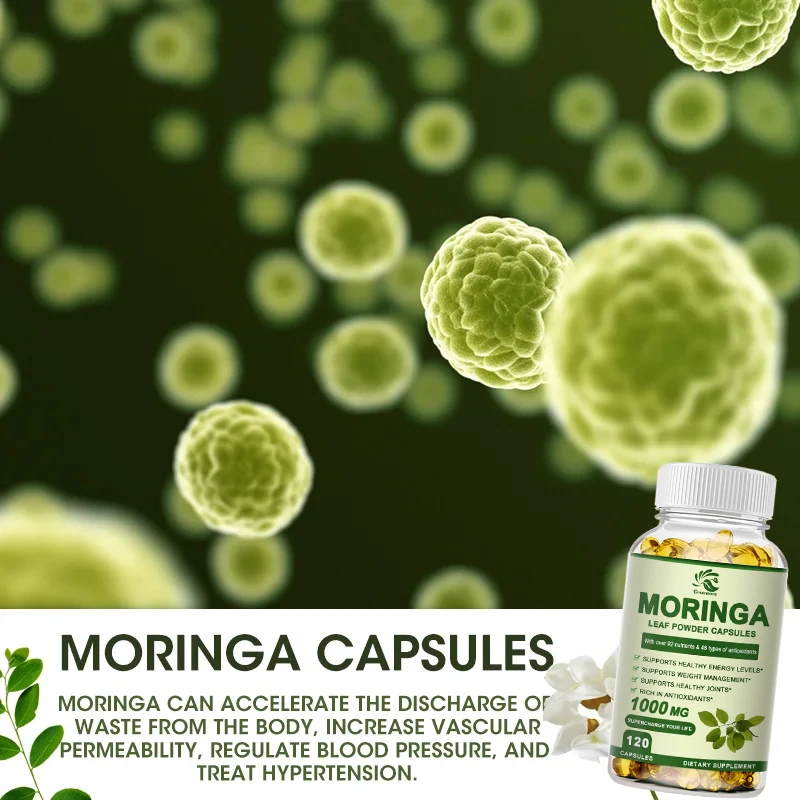 Moringa Oleifera 60/120 Capsules - 100% Pure Leaf Powder - Non GMO and Gluten Free - Complete Green food Supplement