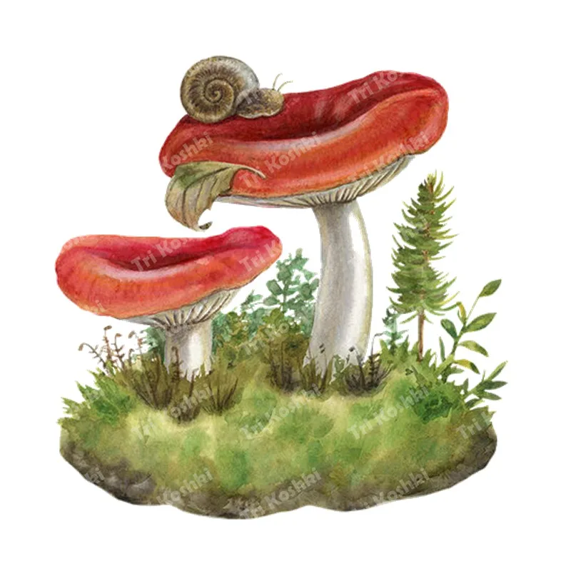 Tri koshki RC070 Mushrooms in the forest Waterproof Kitchen Sticker Decal Kitchen Wall Refrigerator Door Sticker Door Sticker