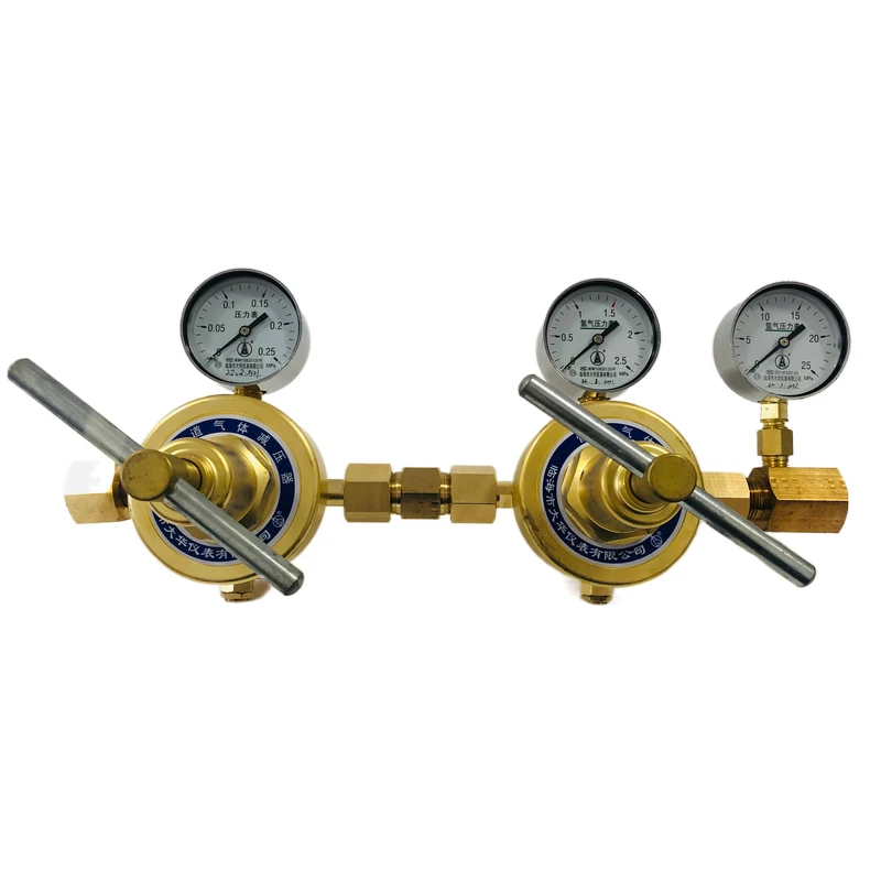 Hydrogen Pressure Reducer YQQ-30 Precision Two-stage Pressure Reducing Valve Pressure Reducing Table Garden Tools