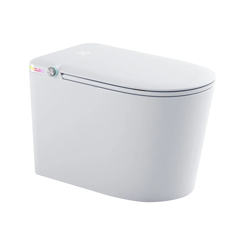 

Современное интеллектуальное электрическое биде с автоматическим смывом и встроенной стойкой, инновационное решение для хранения