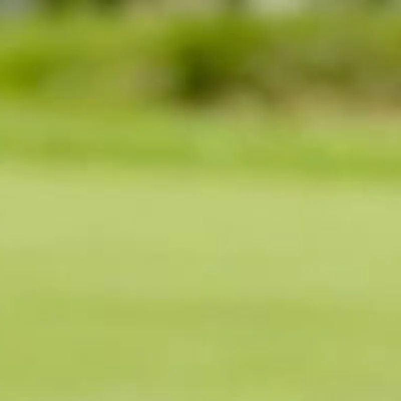 

Портативный контейнер для гольф-мячей, прозрачный круглый пластиковый футляр для мячей, упаковочная коробка из поликарбоната, различные спецификации, подарочная коробка для мячей