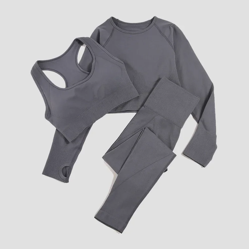 

2/3 шт. женский бесшовный костюм для фитнеса и йоги, укороченный топ с длинными рукавами, рубашка, спортивный бюстгальтер с высокой талией, леггинсы для бега, одежда для спортзала
