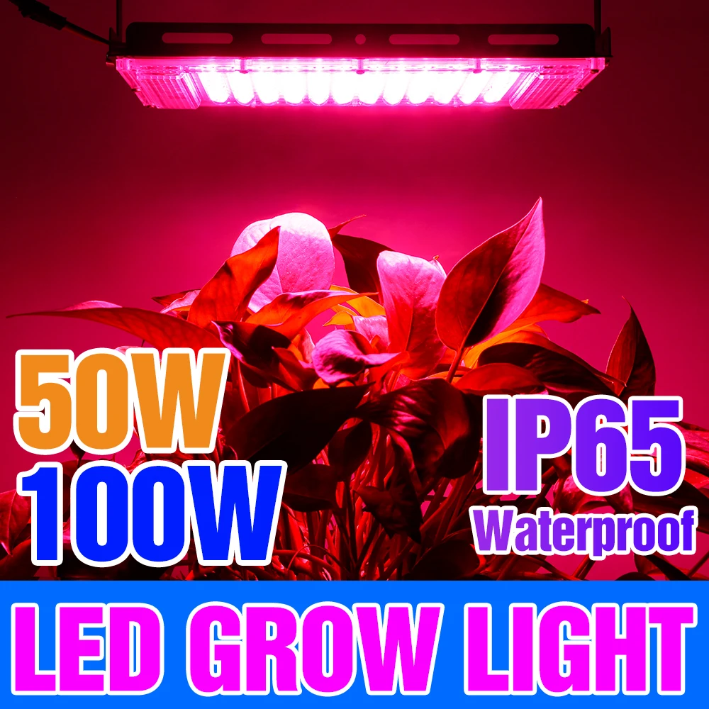 50W LED Grow Lights Phytolamp Full Spectrum Plant Lamp 220V Lndoor Greenhouse Grow Tent Flood Light Flower Seeds Plants Lighting