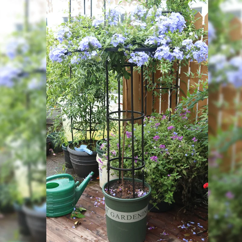 

Umbrella Garden Trellis for Climbing Plants Metal Support Frame Vine Plant Support Gardening Plant Cages for Rose Iron Lotus