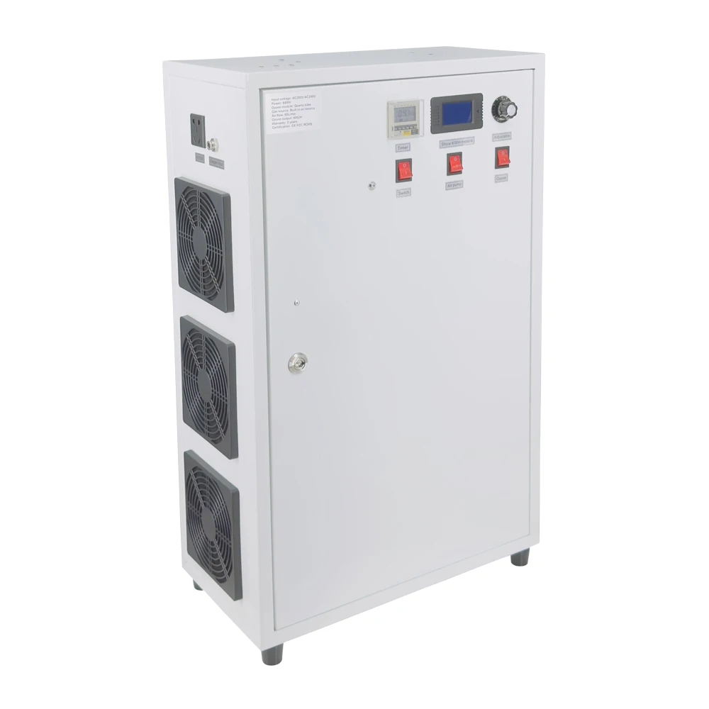 Pinuslongaeva H3 40G 60G/H ozone machine corona discharge ozone generator Factory wholesale