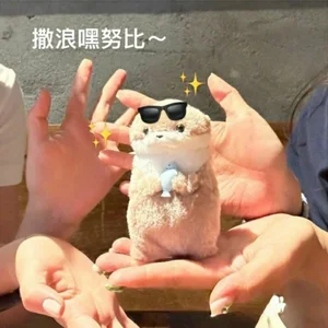 Nettes kleines Otter Animal Plüschspielzeug, Mini -Puppe Rotwind, Tischdekoration, Weihnachtsgeschenk, Internet, 11 cm, neu 11 Hauptverkäufe Plucia Shopping - №8