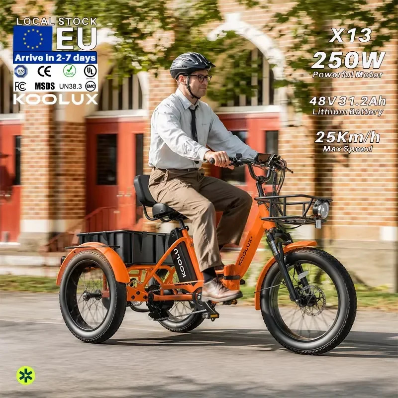 NL 24H Fast KOOLUX X13 48V 14.5AH Electric Cargo Bike 80KM 3 Wheels Basket Delivery Magazijn Fietsen EN15194 Adult Off Road