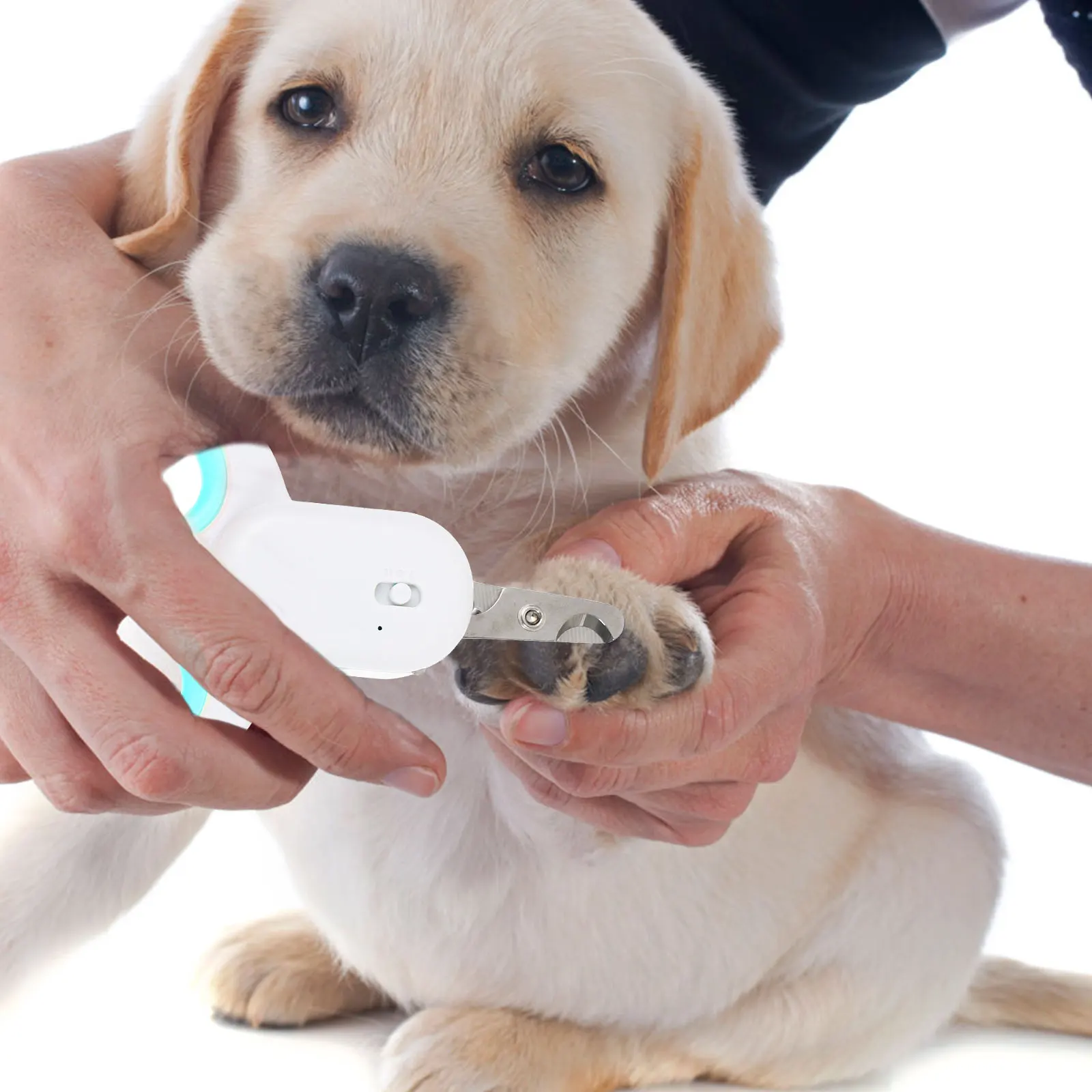 

LED Pet Nail High Brightness LED Light Dog Cat Nail Trimming Tool Scissors Claw Clipper UV Lamp 365nm 370nm Pet Grooming